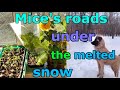 Mice&#39;s roads under the melted snow in March, 2022