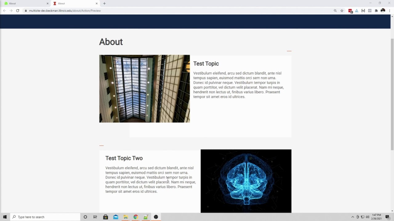 A screenshot from Sitefinity tutorial: Topic widget