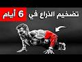 6 تمارين رهيبة لتضخيم الذراع ستجعلك دبابة بشرية حرفيا للأعمار بين 18 إلى 55 6 تمارين رهيبة لتضخيم الذراع ستجعلك دبابة بشرية حرفيا للأعمار بين 18 إلى 55