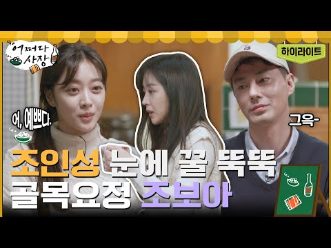   조인성이 보자마자 눈에서 꿀 뚝뚝 흘린 골목요정 조보아 Highlight 어쩌다사장1 어쩌다사장 EP 10