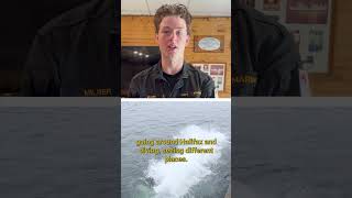 Shadowing Trades , Taking The Dive Course , And More