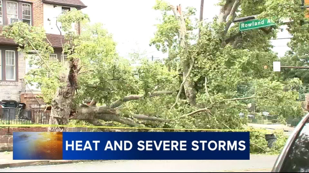 Heavy rain, strong winds bring down trees across Philadelphia region ...