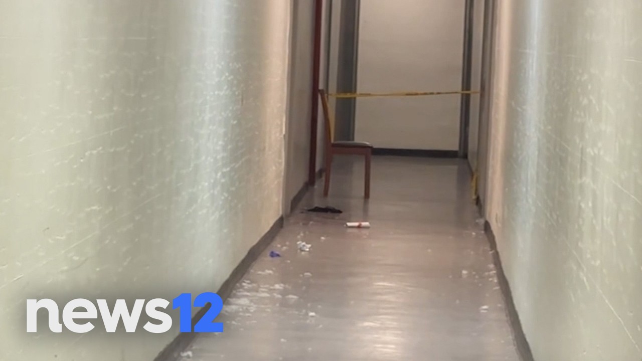 Woman fatally stabbed in Brooklyn; person of interest in custody, police say | News 12