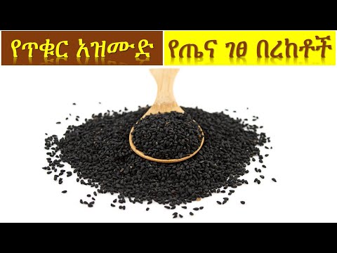 ቪዲዮ: የጥቁር አልደር ዛፍ እውነታዎች - በመሬት ገጽታ ላይ ስለጥቁር አልደር ዛፎች አጠቃቀሞች ይወቁ