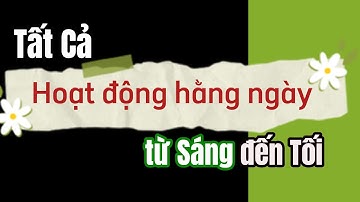 Tất cả mẫu câu Mô tả hoạt động hằng ngày – từ Sáng tới Tối bằng Tiếng Anh