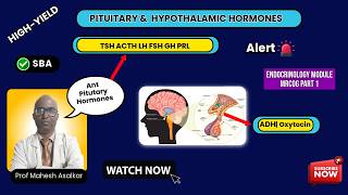 Anterior Pituitary & Hypothalamic Hormones | MRCOG Part 1 | TSH, FSH, LH, ACTH, GH, ADH & Regulation