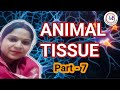 Biology class 9th NCERT Part 7 Animal tissue