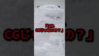 日本人が作った“芸術的すぎる雪だるま”に世界が絶句した理由