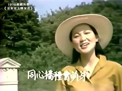 珍貴視頻：鳳飛飛 1978年 美國義演 +外景《沒有泥土哪有花》