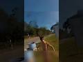 Entitled Karen’s boyfriend attacks jet skier