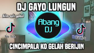 DJ LUNGUN GAYO PERALA REMIX VIRAL TIKTOK TERBARU 2023