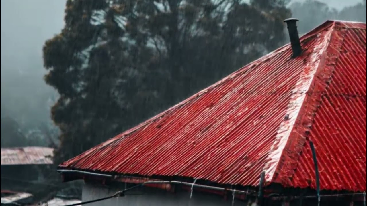 Heavy Rain on Tin Roof – Fall Asleep Fast 🌧️ 8 Hour Insomnia Relief No Thunder