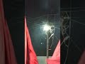 Patharlapadu Muharram Khammam Telangana Perilu 
