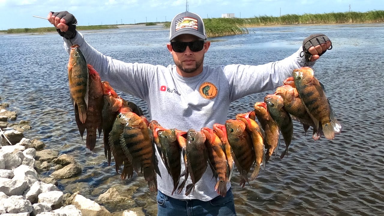 Impresionante esta Gran Pesca!Mira los Mejores SEÑUELOS y EQUIPOS  para PESCAR estos grandes CICHILD