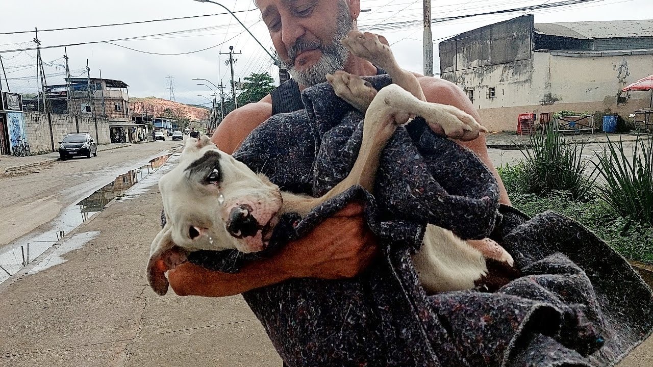 He Broke Down in My Arms, Frail & Starving, Tears Falling From a Soul That Never Known Kindness