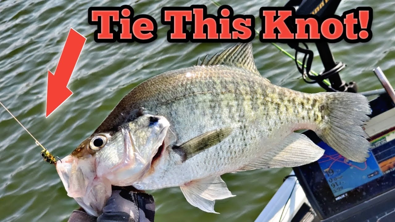 Absolute Best Crappie Fishing Knots .. Loop Knot /Clinch Knot