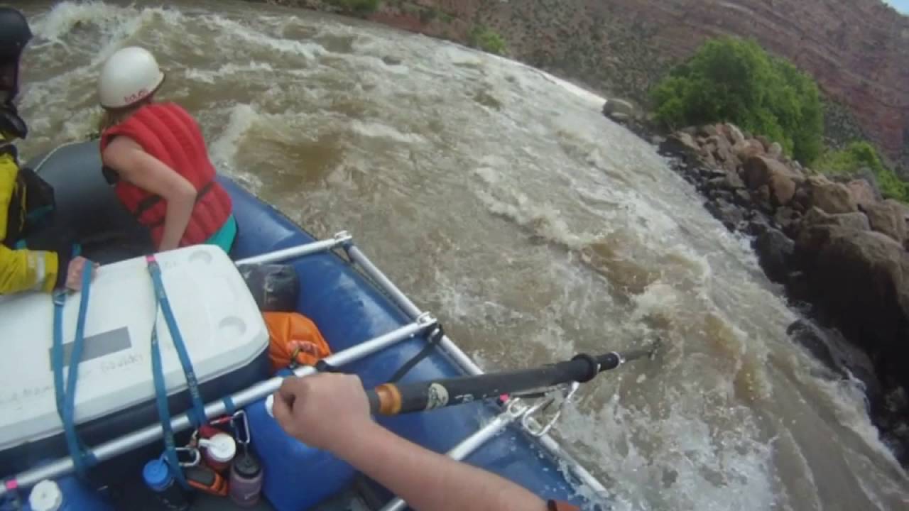Warm Springs Rapid (Yampa 11,200 cfs) YouTube