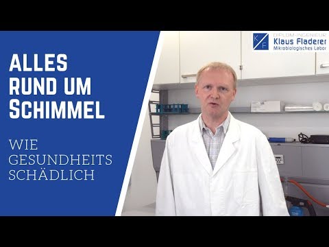 Video: Sind alle Arten von Schimmel schädlich?