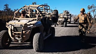 US Marines And 3d Littoral Combat Team Conduct Company Assault | PRACTICE COLLECTION screenshot 5