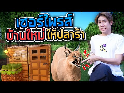 ผมสร้างบ้าน Minecraft ให้ปลาร้าเจ้าแมวยักษ์!! (SPD)