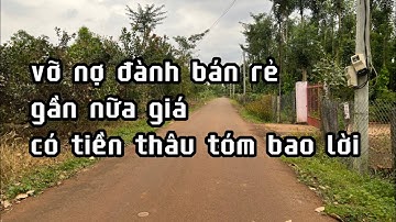 vỡ nợ đành phải bán lô đất đẹp vị trí tiềm năng giá rẻ bèo để xoay sở ở châu đức bà rịa vũng tàu