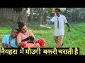 मर्दाबा को बेवकुफ बनाती है नैयहरा में मौउगी बकरी चराती है #maithili_comedy_dhorba