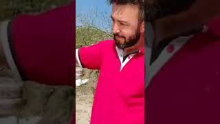 Krali̇çe Ana Ari Üreti̇mi̇nde Larva Transferi̇