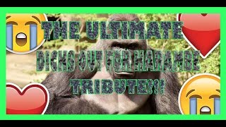 THE ULTIMATE DICKS OUT FOR HARAMBE TRIBUTE! (MUST WATCH)