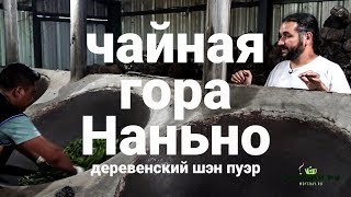 видео: Чайная гора Наньно, весна 2018. Деревенский шэн пуэр картинка: Чайная гора Наньно, весна 2018. Деревенский шэн пуэр