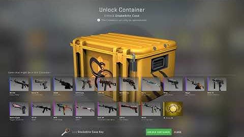 Opening 1 Case Every Day Until I Get A Gold #1