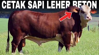 RESEP COMBORAN CETAK SAPI LEHER  BETON