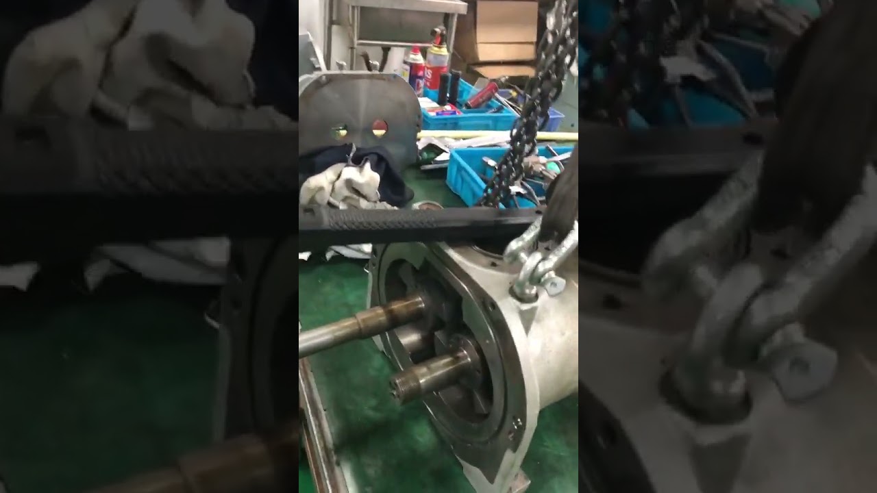 “Vacuum Pump Series: Daily Operations”. 