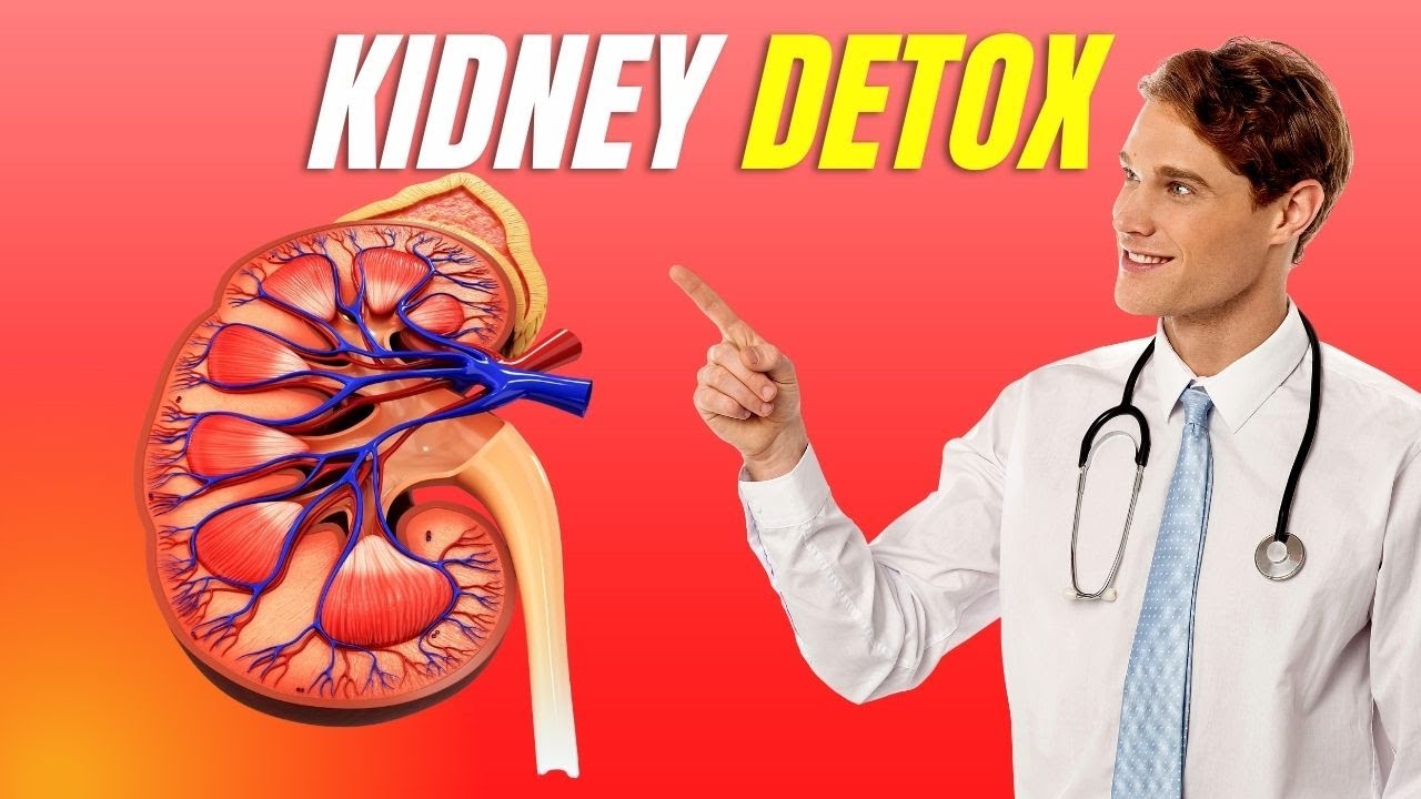 Top 10 Foods To Detox Your Kidneys | 2023 - YouTube