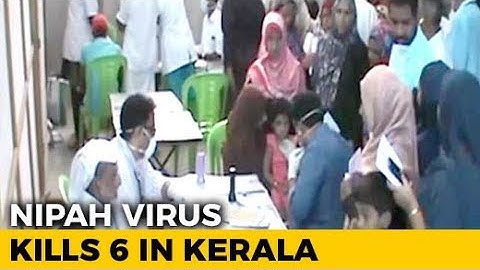 3 Dead From Mysterious Nipah Virus In Kerala, Centre Sends Team