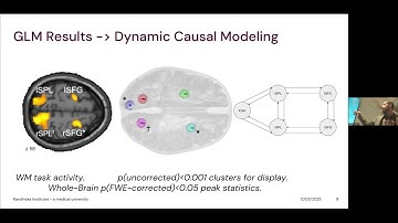 Andreas Lidström: Longitudinal Dynamic Causal Modeling of fMRI
