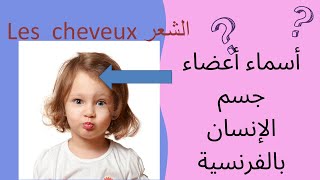 français facile أسماء أعضاء جسم الإنسان بالفرنسية بطريقة ممتعة وسهلة