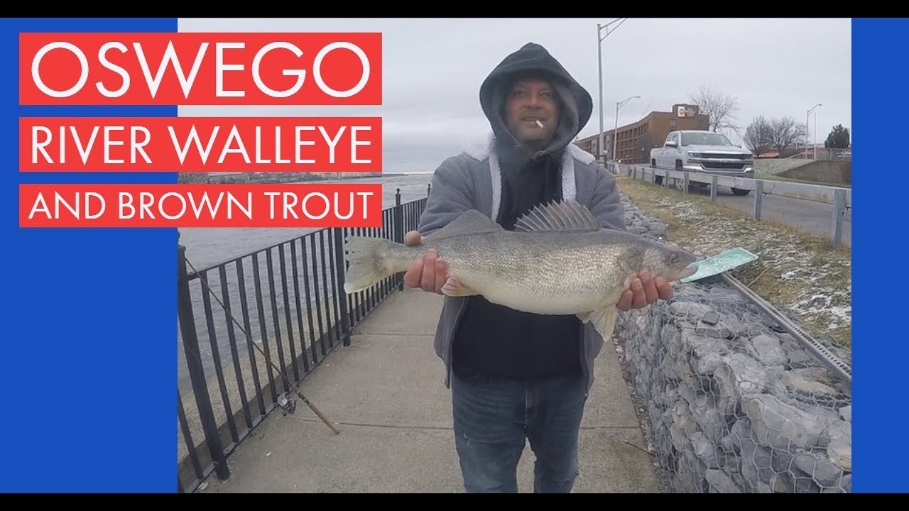 Fishing for Brown Trout and Walleye Fishing the Oswego River in Oswego