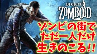 【８時間耐久】ゾンビだらけの街で何日生き残れるかチャレンジ【プロジェクトゾンボイド】