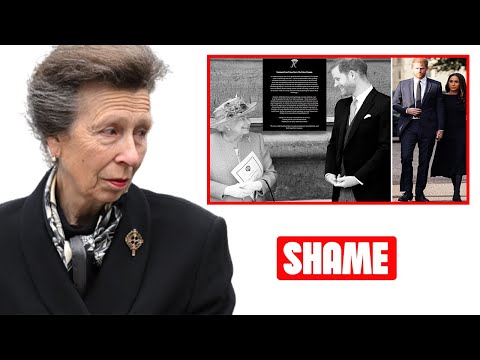 Wrote By His 'Darling Wife'! Princess Anne's Statement Put Harry And Meghan To SHAME