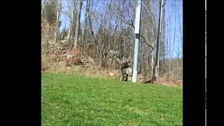 CPWDA Passive Gunfire & Tactical Obedience