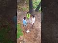 Netaji sound #comedy #funny