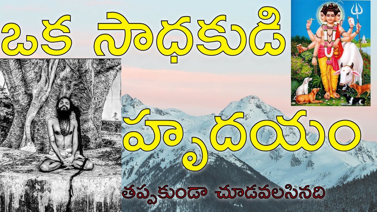 ఒక సాధకుడి  హృదయం/Oka Sadhakudi Hrudhyam/Swami Siddha Yogi