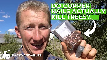 How long does it take for copper nails to kill a tree?