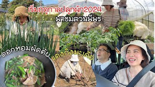 เริ่มฤดูกาลปลูกผัก2024 พายมไร่ตะวันฉายต้นกล้าผักไทยเพียบ เก็บผักทำอาหาร แต่งกิ่งมะเดื่อให้ลูกดก