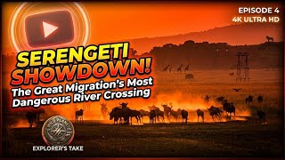 Trapped in the Dust | The Epic Struggle of the Great Migration | Great Migration in Serengeti