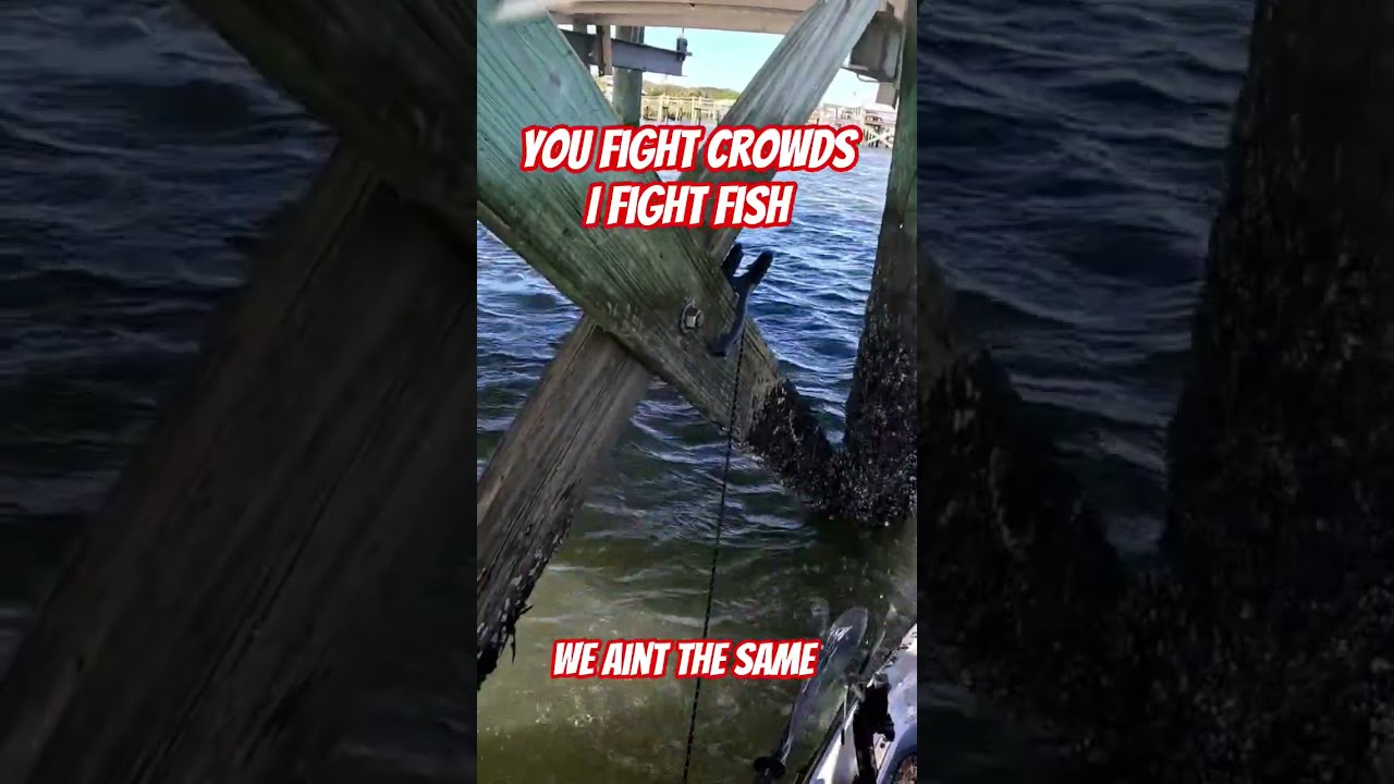 Close Quarter Combat in 20+ MPH Winds.  