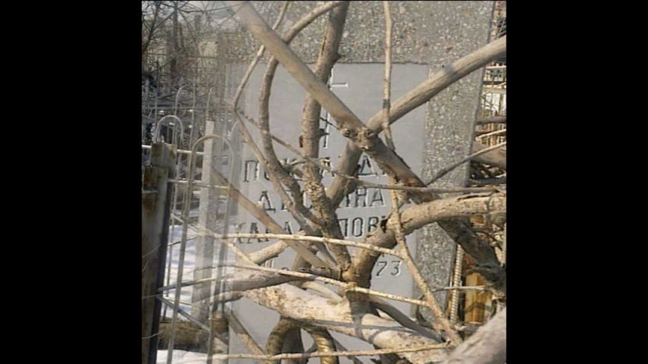 совхоз 30 лет октября отд№3 - кладбище