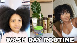 Natural Hair Wash Day Routine 2021 + LustraSilk One Brand Tutorial.