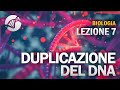 BIOLOGIA - Lezione 7 - Duplicazione del DNA