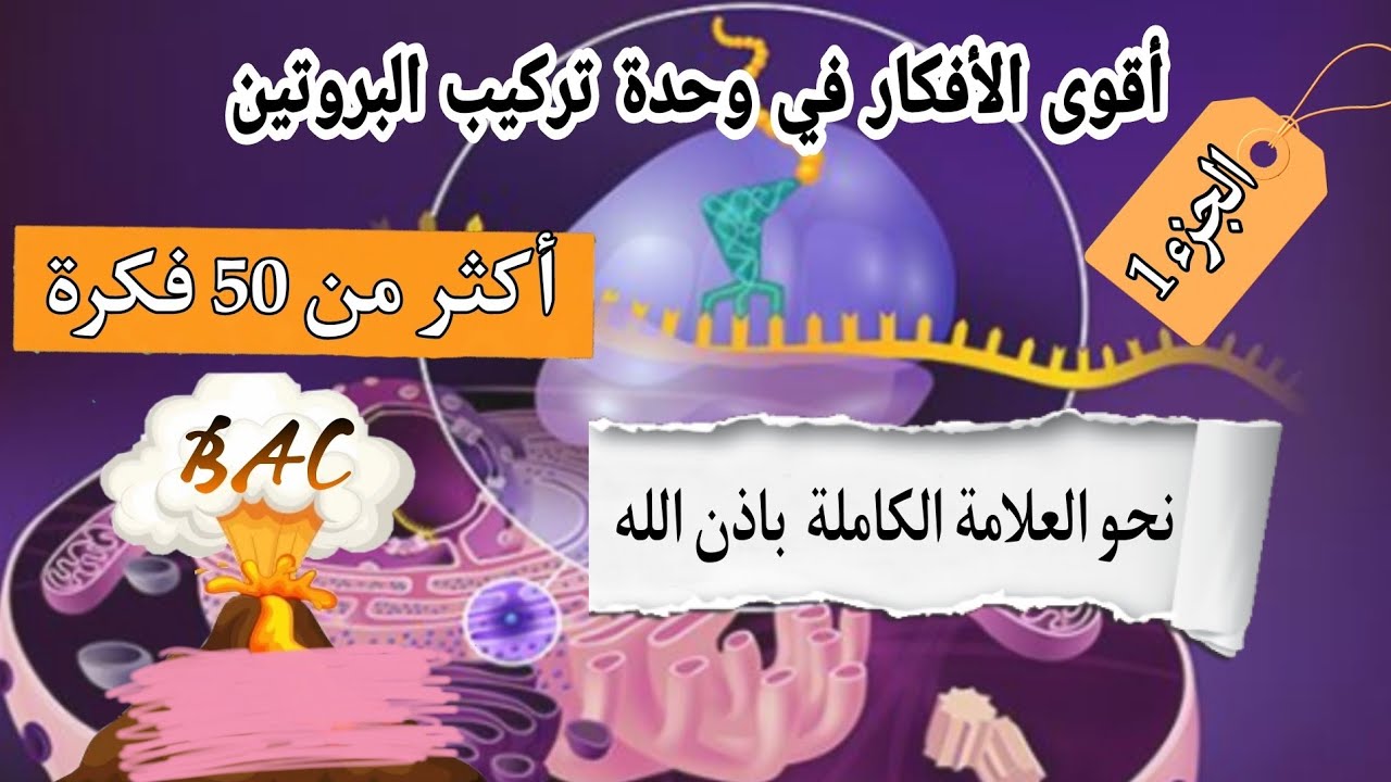 💣حصريا😍بكالوريا 💫  أفكار🔥تركيب البروتين ❌اذا لم تكمله فأنت الخاسر🤫الجزء 1